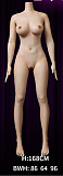 【キャンペーン】Normon doll 165cm Cカップ Lilyヘッド 宣伝画像ホワイト肌色 フルシリコン製 等身大リアルラブドール
