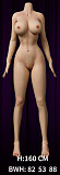 【キャンペーン】Normon doll 165cm Cカップ Lilyヘッド 宣伝画像ホワイト肌色 フルシリコン製 等身大リアルラブドール
