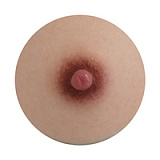 FANREAL 巨乳159CM  Gカップ #Lingヘッド フルシリコン製ラブドール