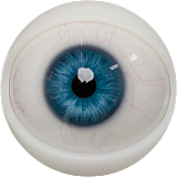 FANREAL 最新作 男性ラブドール 173cm 35kg  #Carterヘッド 一体式ペニス 筋肉タイプ フルシリコン製男性ドール