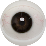 FANREAL 最新作 男性ラブドール 173cm 35kg  #Carterヘッド 一体式ペニス 筋肉タイプ フルシリコン製男性ドール