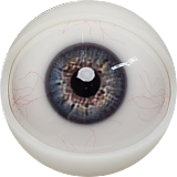 FANREAL 最新作 男性ラブドール 173cm 35kg  #Carterヘッド 一体式ペニス 筋肉タイプ フルシリコン製男性ドール