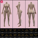 SEDOLL シリコン製 167cm Eカップ Head#134SC Liam.Bちゃん  等身大リアルラブドール ダッチワイフ