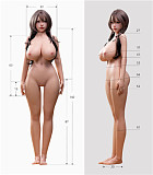 【特別価格で販売（通常価格より15％オフ）オフィシャル写真撮影・開封動画撮影に使っていたサンプル品 一体限定 背の中吊り穴あり】戦闘機 Sino doll 実践向け Soft-max 163cmボディ＋ S49ヘッド フルシリコンラブドール ダッチワイフ