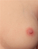 【2.2CFシリーズ】Bezlya DOLL 155cm Iカップ爆乳（155Ｍ） #K风铃ヘッド（メイク⑥）フルシリコン製 眉毛と睫毛植毛加工あり 等身大リアルラブドール