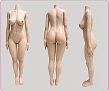 Evasdoll 165cm Eカップ YIMOヘッド  フルシリコン製  等身大リアルラブドール