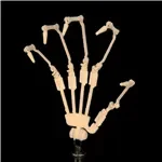 IROKEBIJIN(色気美人) 新しいシリーズ Azukaヘッド 160cm Hカップ  フルシリコン製 オーラル不可 ラブドール