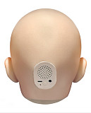 ZELEX  175cm Eカップ GE101_1ヘッド フルシリコン製ラブドール  等身大サイズ