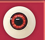 ElsaBabe アニメドール トルソー70cm ヘッド＃RAD024ヘッド 渡边由乃 シリコンラブドール 等身大リアルドール