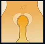 XTDOLL 160cm Kカップ Grace(XT-39-B)ヘッド 開閉機能選択可能  巨乳巨尻タイプボディ シリコンドール 等身大ラブドール