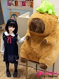 セーラー服美少女ドール
