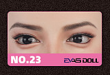 【新品登場キャンペーン特別価格335000円】Evasdoll 170cm Eカップ 伊琳ヘッド 高級シリコンドール  いろいろ機能対応可能