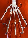 guavadoll（グアバ）番石榴 DM03 PVCヘッド 126cm Eカップ 新素材ALM選択可能 1：1 等身大ろり系アニメラブドール ジョイントM16  ナチュラル肌色