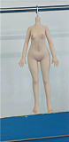 guavadoll（グアバ）番石榴 DM03 PVCヘッド 126cm Eカップ 新素材ALM選択可能 1：1 等身大ろり系アニメラブドール ジョイントM16  ナチュラル肌色