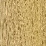 Starpery ヘッドとボディ自由に組合 フルシリコンラブドール 等身大リアルドール