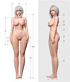 Sino doll 実践向け Soft-max 161cm Hカップボディ＋ S41ヘッド Linchunちゃん 宣伝画像Rメイク付き ナチュラル肌 フルシリコンラブドール