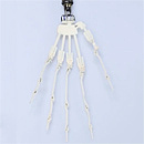AXBDOLL 147cm Aカップ #A155ヘッド 瞑り目癒し顔パートナー美少女ダッチワイフ リアルメイク塗装付き 貧乳ろり系等身大ラブドール