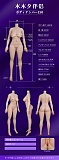 MMXDOLL ボディ単体 148-172cm 高級シリコン製ラブドール 等身大セクシーダッチワイフ