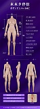 MMXDOLL ボディ単体 148-172cm 高級シリコン製ラブドール 等身大セクシーダッチワイフ