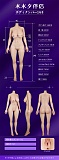 MMXDOLL ボディ単体 148-172cm 高級シリコン製ラブドール 等身大セクシーダッチワイフ