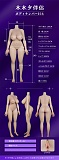 MMXDOLL ボディ単体 148-172cm 高級シリコン製ラブドール 等身大セクシーダッチワイフ