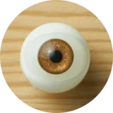 My Loli Waifu ドール 145cm Bカップ 夢ヘッド TPE製ボディ 等身大リアルラブドール