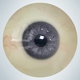 【13号】人造人(RZRDOLL)  究極版 170cm Cカップ #若兮(ruoxi) #13ヘッド 等身大 フルシリコン製ラブドール