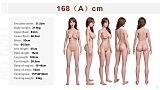 七月キャンペーン 約97000円割引 二つ目ヘッド半額 関節指リアルメイクなど無料 MD DOLL 150cm-168cmのフルシリコン製リアルラブドール