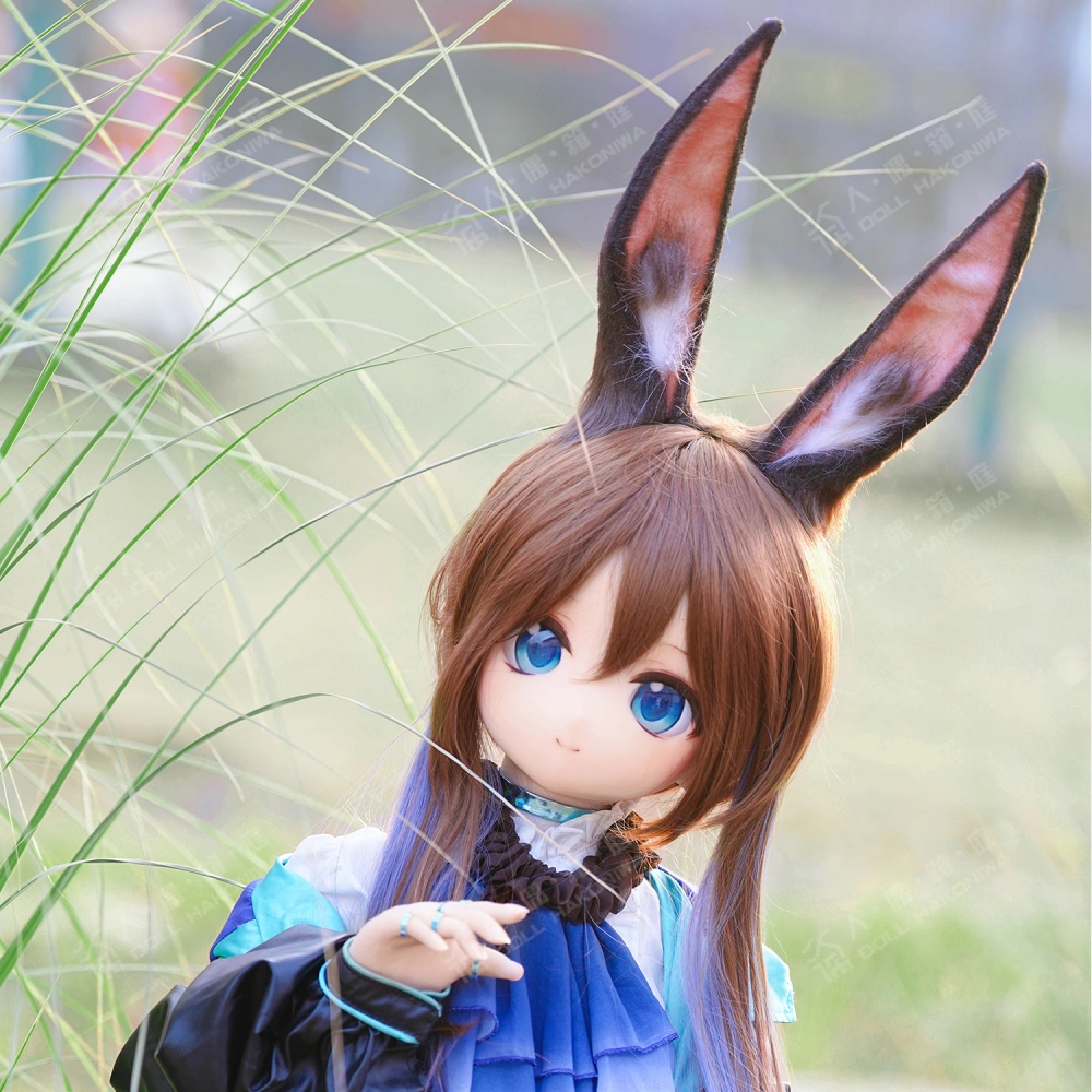 ドール愛好家向けコレクション