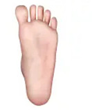 XTDOLL 165cm Eカップ  Lucyヘッド 高級シリコンラブドール セックスアダルトドール