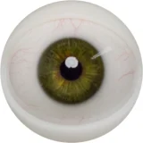 FANREAL シリコン製ヘッド単体 等身大ラブドール リアルドール