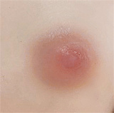 J cute  AGD02 紬ヘッド 149cm バスト平 LL団 学生風純真美少女リアルドール