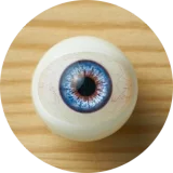 My Loli Waifu 87cm AAカップ 104BヘッドNoa (のあ) フルシリコン製 T2トルソー  腕なし上半身ドール 可憐美少女