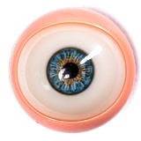 Starpery 159cm Eカップ ＃Candyヘッド フルシリコンラブドール 若々しい水着美少女風リアルドール