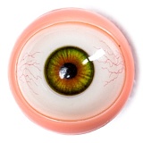 Starpery 159cm Eカップ ＃Candyヘッド フルシリコンラブドール 若々しい水着美少女風リアルドール