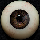 AXBDOLL 101cm AAカップ（バスト平ら）#AGB07ヘッド フルシリコン製 貧乳ろり系等身大ラブドール 少女ダッチワイフ