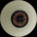 AXBDOLL 101cm AAカップ（バスト平ら）#AGB07ヘッド フルシリコン製 貧乳ろり系等身大ラブドール 少女ダッチワイフ