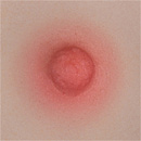 AXBDOLL 101cm AAカップ（バスト平ら）#AGB07ヘッド フルシリコン製 貧乳ろり系等身大ラブドール 少女ダッチワイフ