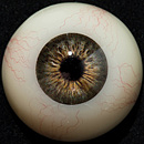 AXBDOLL 101cm AAカップ（バスト平ら）#AGB07ヘッド フルシリコン製 貧乳ろり系等身大ラブドール 少女ダッチワイフ