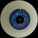 AXBDOLL 101cm AAカップ（バスト平ら）#AGB07ヘッド フルシリコン製 貧乳ろり系等身大ラブドール 少女ダッチワイフ