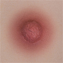 AXBDOLL 101cm AAカップ（バスト平ら）#AGB07ヘッド フルシリコン製 貧乳ろり系等身大ラブドール 少女ダッチワイフ