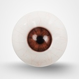 TOP-CYDOLL 176cm Eカップ Beatriceヘッド 高級シリコン製  欧米風リアルドール エレガント美女