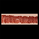 ZELEX フルシリコン製 人間型取り新作ボディ165cm Fカップ+GE24MJヘッド グラマラス美女ラブドール 大人の色気漂う