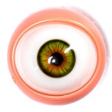 Starpery 163cm Cカップ Asuka Evaヘッド フルシリコン製  リアルラブドール キュートでフレッシュな学園風