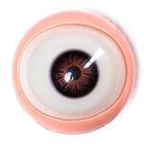 Starpery 163cm Cカップ Asuka Evaヘッド フルシリコン製  リアルラブドール キュートでフレッシュな学園風