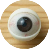 【全商品10％オフ】Jiusheng doll  最新作 149cm Bカップ #103B Miyuヘッド 高級シリコン製 清楚で自然な顔立ちのリアルラブドール