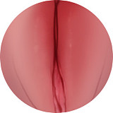 Game Lady 166cm Eカップ+アニメno.23 知的メガネ娘美少女コスプレドール クラスのキャラクターリアルドール