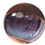 【 最新作トルソー戦闘機ドール 】Sino doll 実践向け爆乳リアルドール 70cm Lカップ ST1Cヘッド フルシリコンラブドール オナニー人形