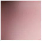 Real girl 171cm Eカップ DS38ヘッド 宣伝画像フルシリコンドール 【C工場】清楚で上品な美少女等身大ダッチワイフ