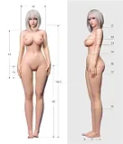 最新作戦闘機 Sino doll 実践向け Soft-max 156cm Eカップ ボディ＋ S62ヘッド 銀髪スタイル戦士風の衣装コスプレ等身大リアルドール